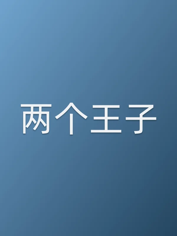 两个王子电影海报