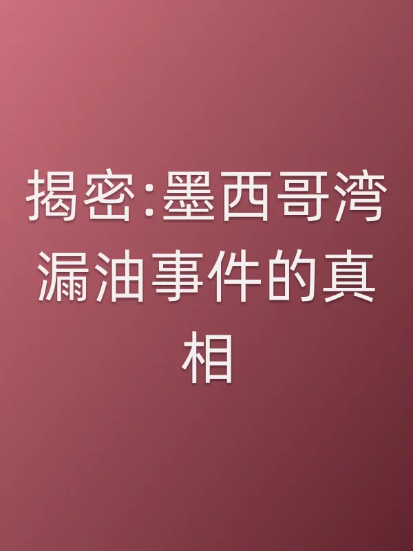 揭密:墨西哥湾漏油■■的■■电影海报