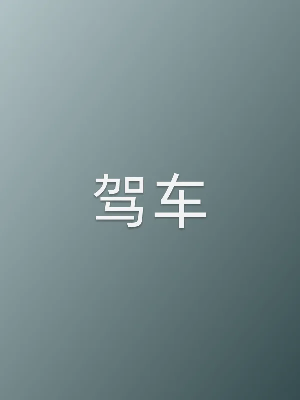 驾车电影海报