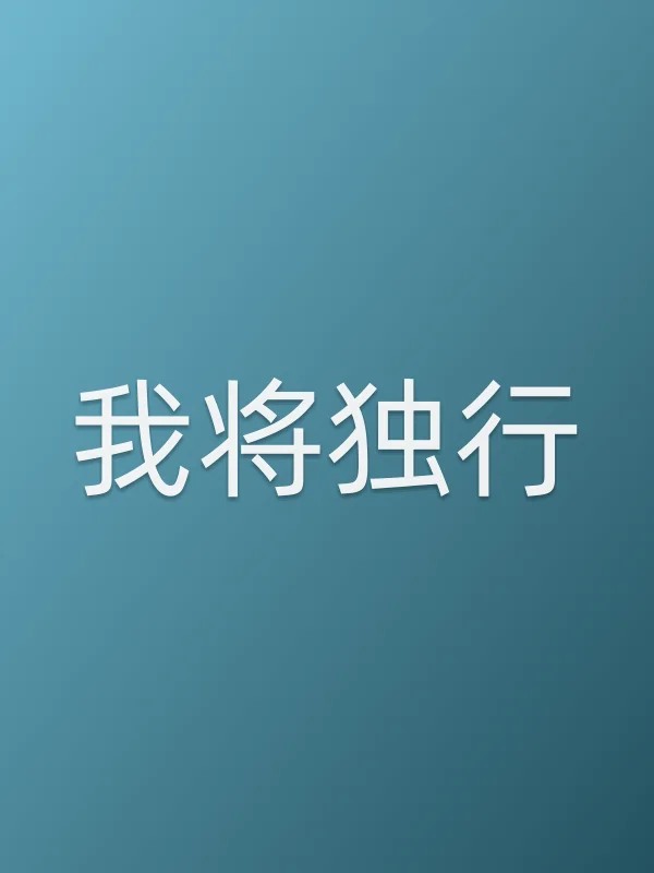 我将独行电影海报
