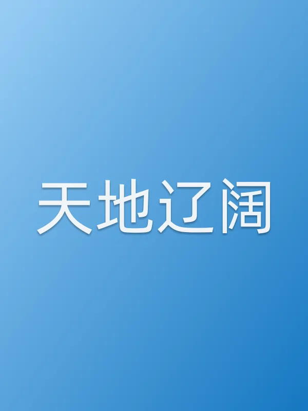 天地辽阔电影海报