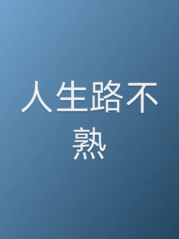 人生路不熟电影海报