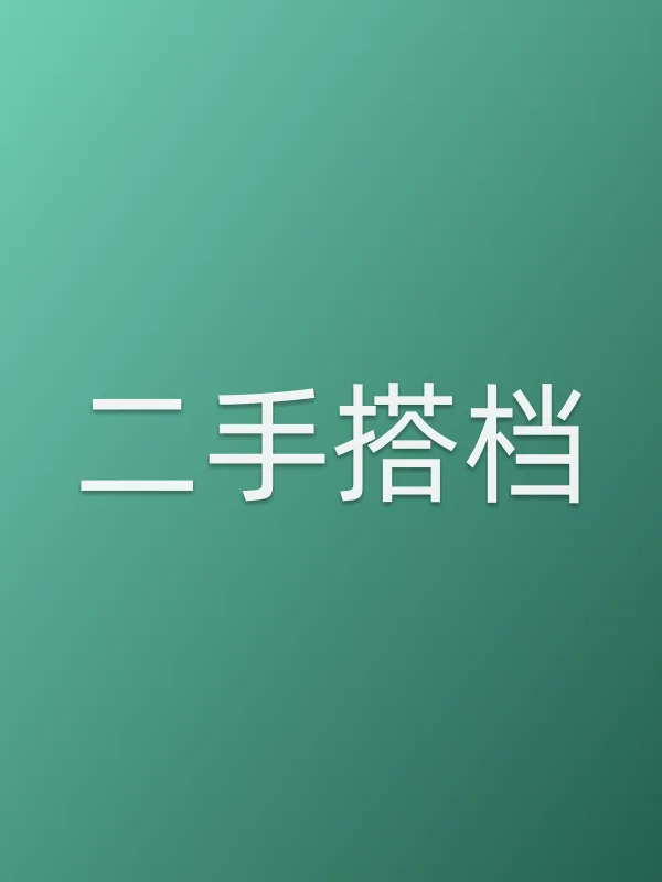 《二手搭档》电影
