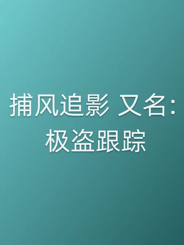 捕风追影 又名: 极盗■■