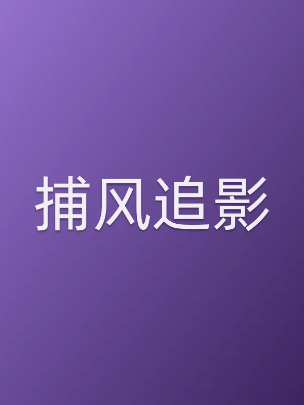 捕风追影