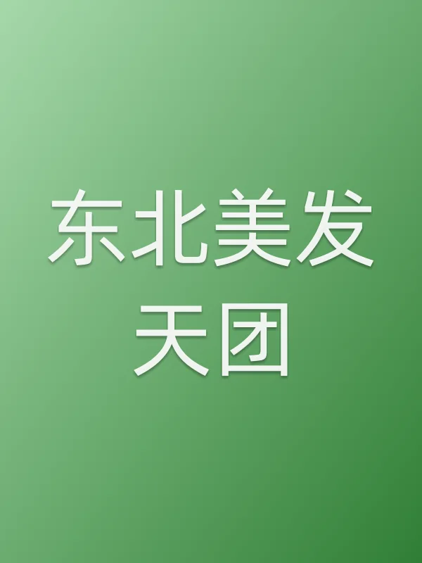 东北美发天团电影海报