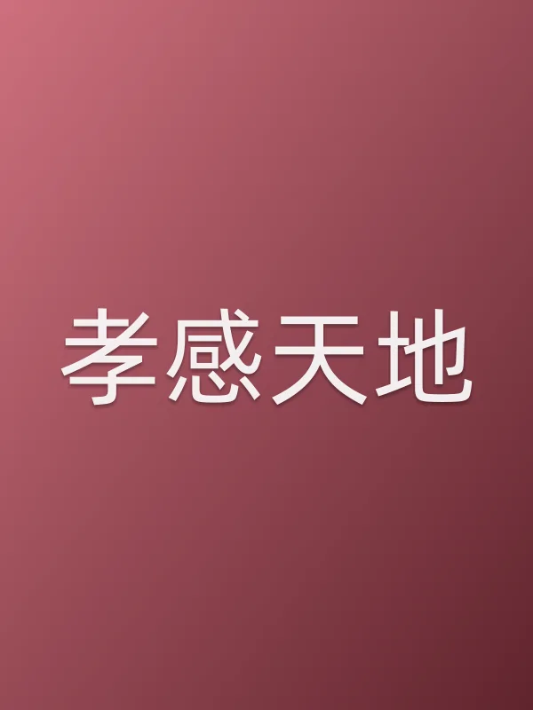 孝感天地电影海报
