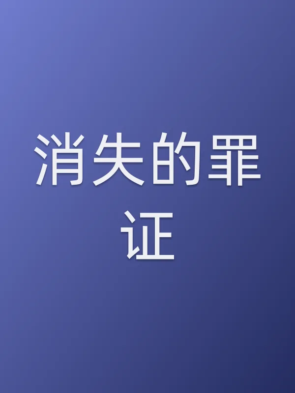 消失的罪证电影海报