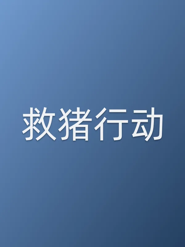 救猪行动电影海报