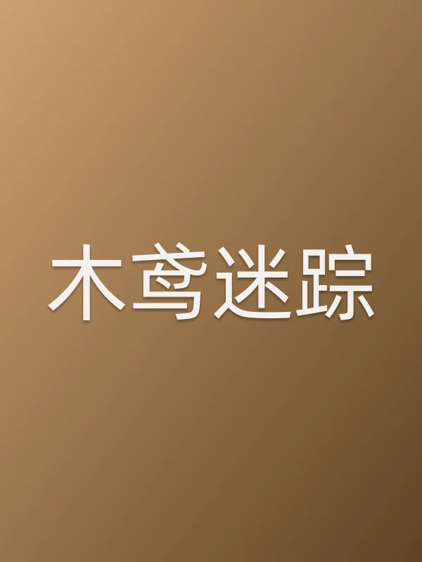 木鸢迷踪电影海报