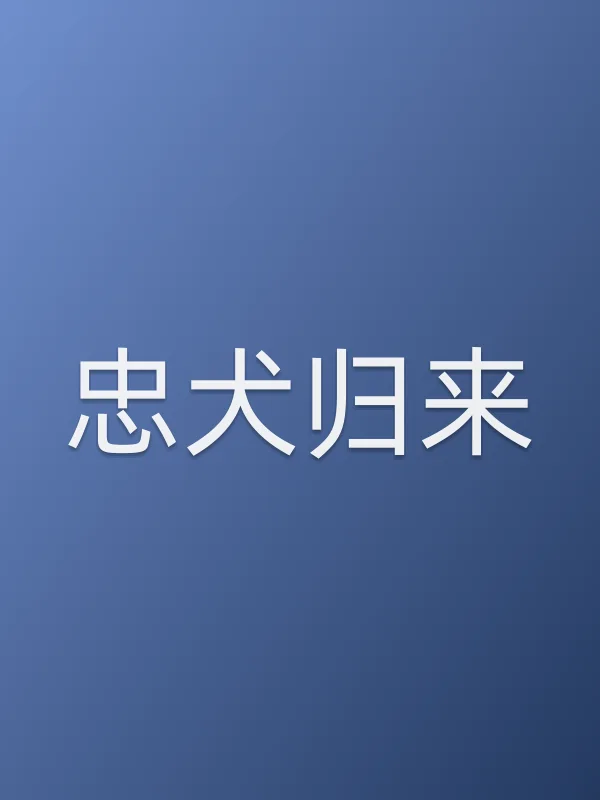 《忠犬归来电影