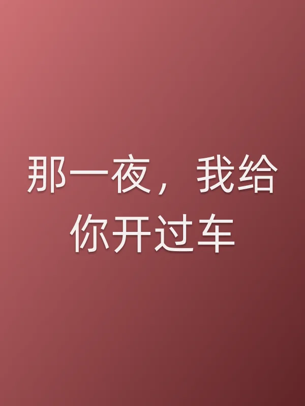 《那一夜,我给你开过车电影