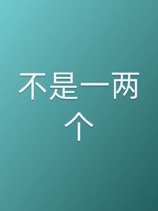 不是一两个电影海报