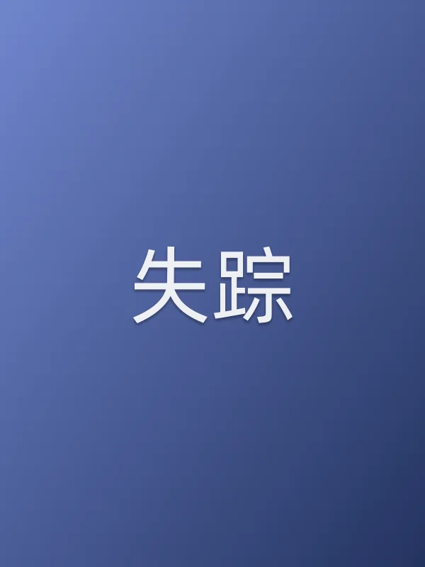 失踪电影海报