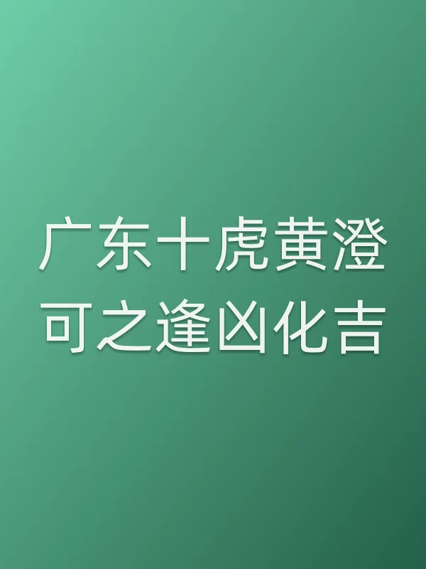 广东十虎黄澄可之逢凶化吉电影海报