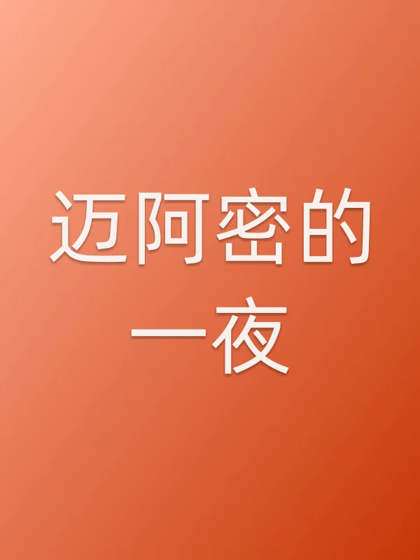 迈阿密的一夜电影海报