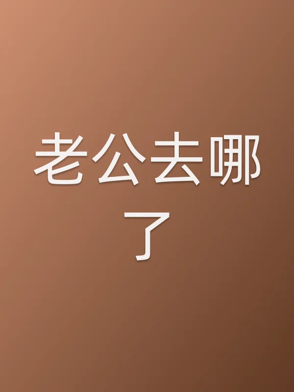 老公去哪了电影海报