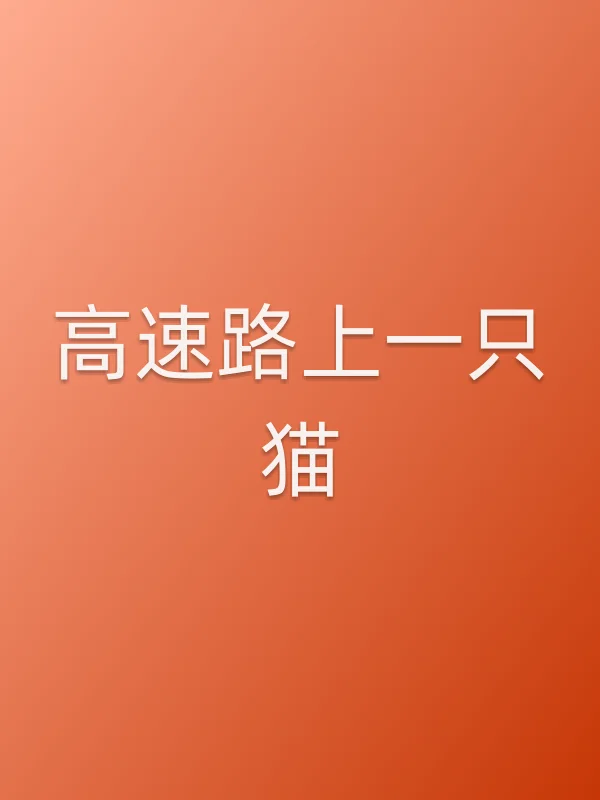 高速路上一只猫电影海报