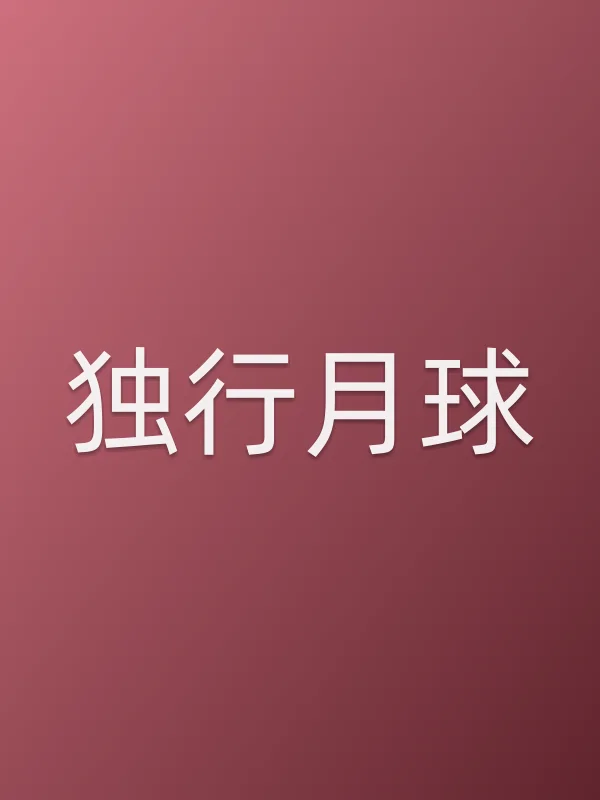 《独行月球电影