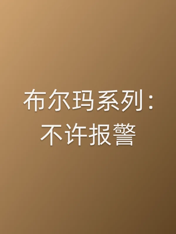 布尔玛系列:不许报警电影海报