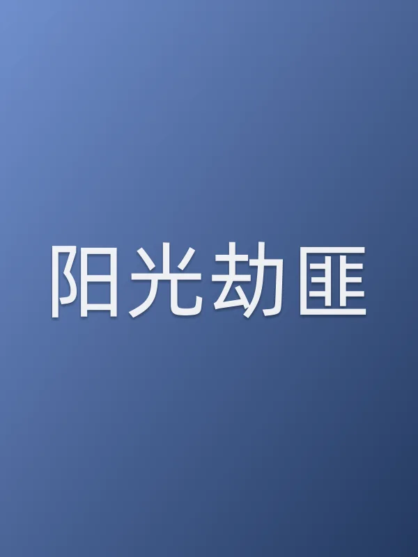 阳光劫匪电影海报