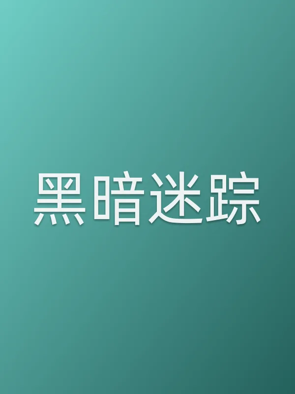 黑暗迷踪电影海报