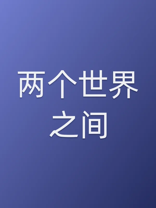 两个世界之间电影海报
