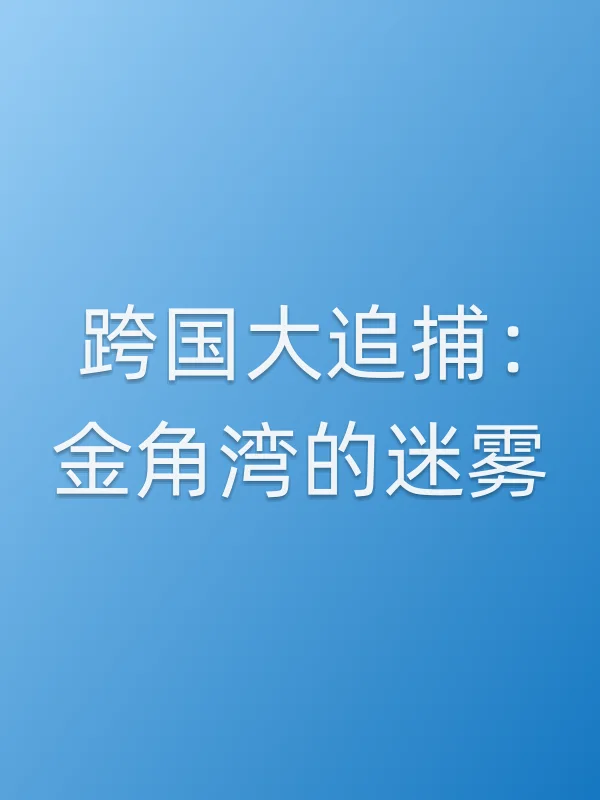 跨国大追捕：金角湾的迷雾电影海报