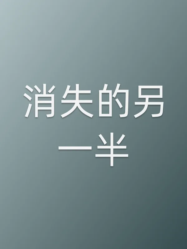 消失的另一半电影海报