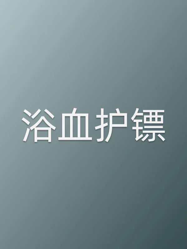 浴血护镖电影海报