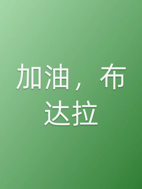 加油,布达拉电影海报