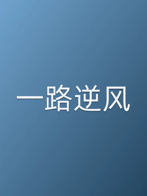 一路逆风电影海报
